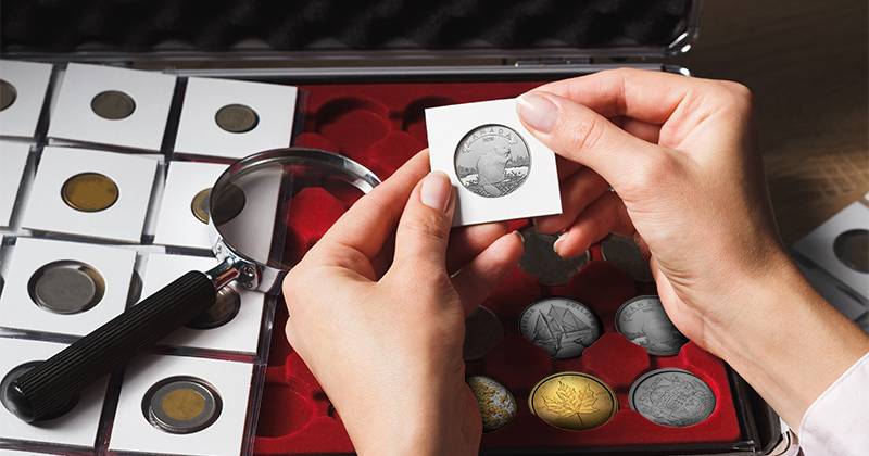 image gardez le cadeau de la pièce de collection toute faite