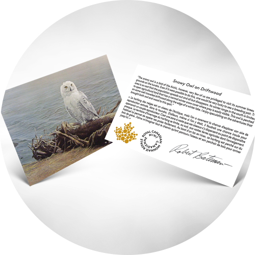 temp_carousel_bateman_card.png?hash=637884799260000000 Includes a special insert