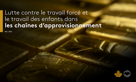 Lutte contre le travail forcé et le travail des enfants dans les chaînes d’approvisionnement 2026.pdf