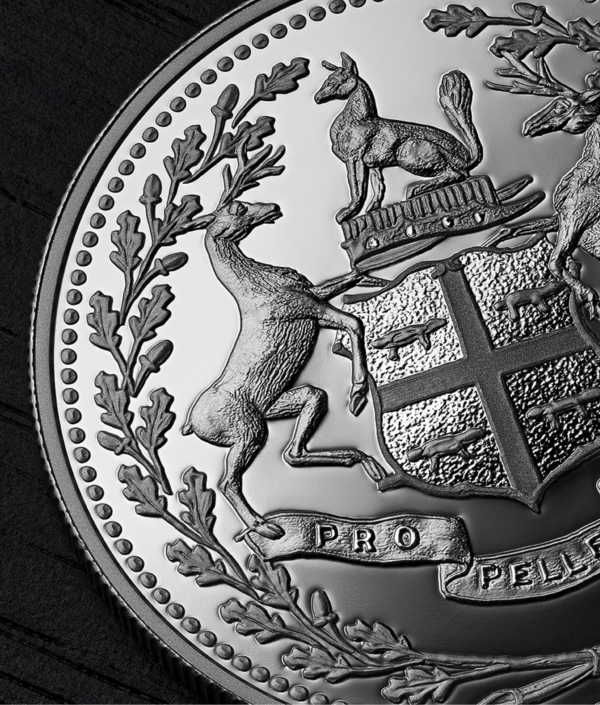 image pure silver coin