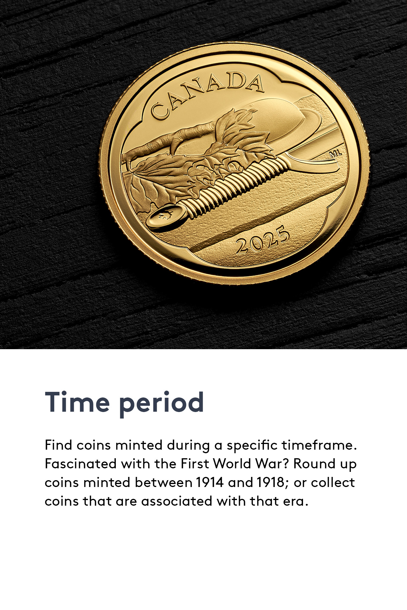 Tomb of the Unknown Soldier - Pure Gold Coin Tomb of the Unknown Soldier - Pure Gold Coin