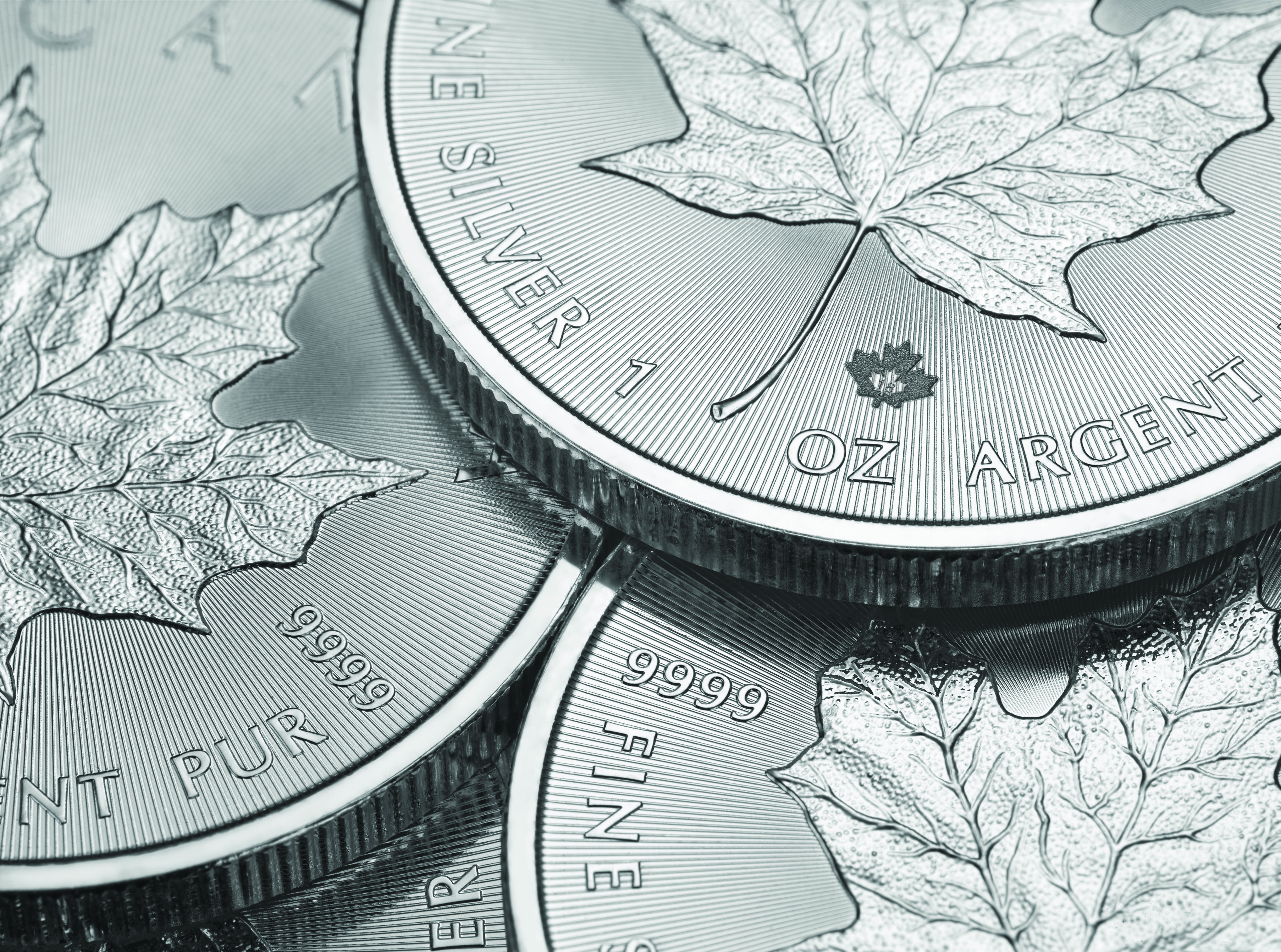 Royal Canadian Mint Silver Maple Leaf Coins