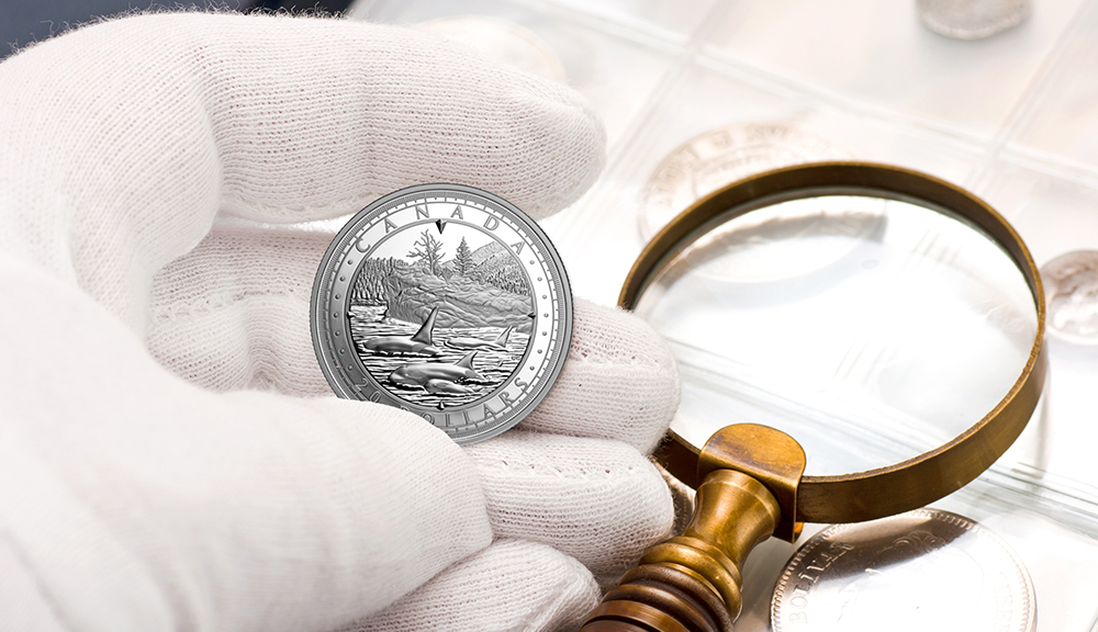 Oil and dirt from hands can damage coins, so try as much as possible to avoid touching them. That said, sometimes you’ll need to handle them, which is why cotton gloves are indispensable. Use them only for your coins, and keep them clean and dry when you’re not using them.