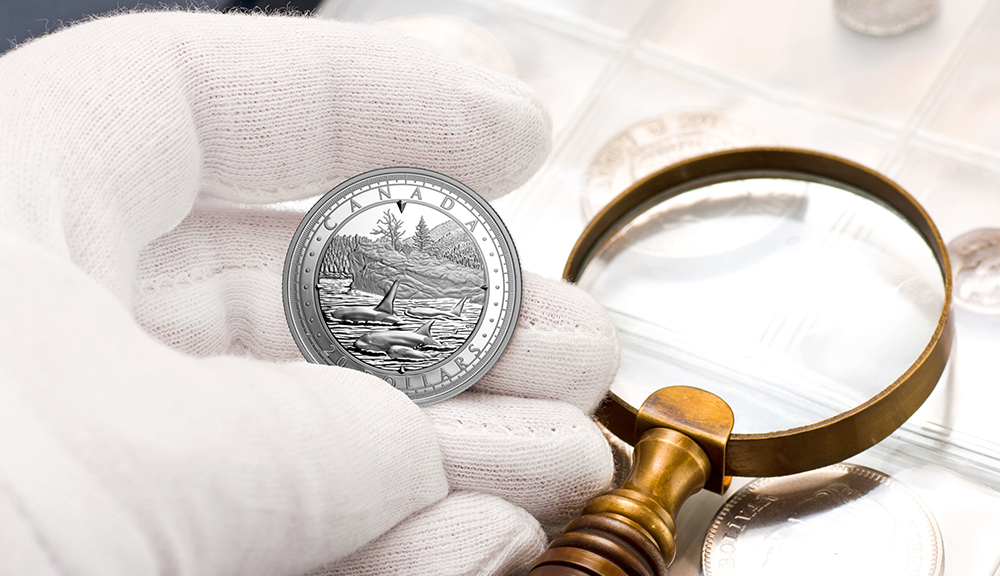 image Oil and dirt from hands can damage coins, so try as much as possible to avoid touching them. That said, sometimes you’ll need to handle them, which is why cotton gloves are indispensable. Use them only for your coins, and keep them clean and dry when you’re not using them.