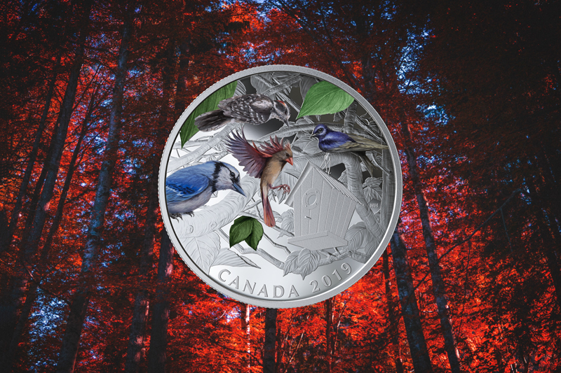 Pendant votre prochaine promenade dans le quartier, gardez l’œil ouvert pour repérer ces oiseaux. Les faits amusants de cette activité vous aideront à les trouver.  Quand vous les aurez tous trouvés, coloriez-les comme vous les avez vus dans leur habitat naturel