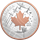 Ensemble épreuve numismatique en argent fin – 100ᵉ anniversaire de l’Aviation royale canadienne