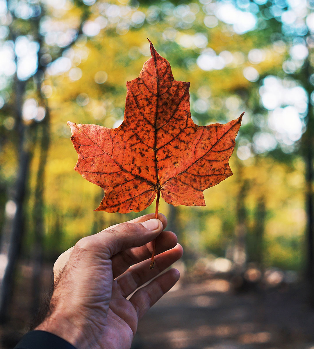 Canadiana