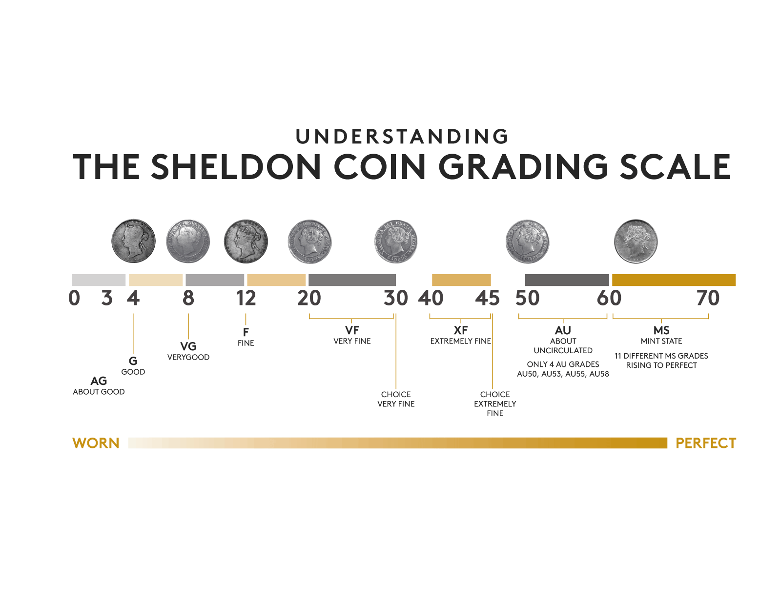 coin grading image Understanding the sheldon coin grading scale.