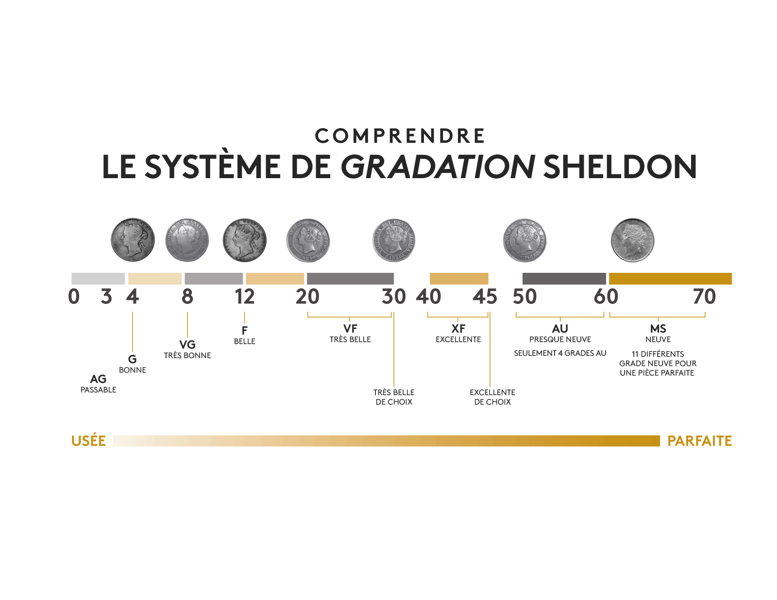 image le systeme de gradation sheldon