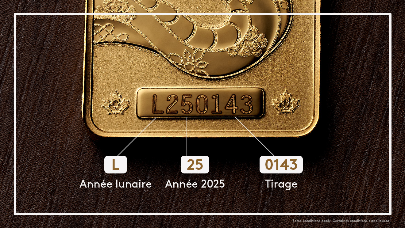 Année lunaire du Serpent 2025 – Lingot de 10 g en or pur à 99,99 % (produit d’investissement haut de gamme) Année lunaire du Serpent 2025 – Lingot de 10 g en or pur à 99,99 % (produit d’investissement haut de gamme)