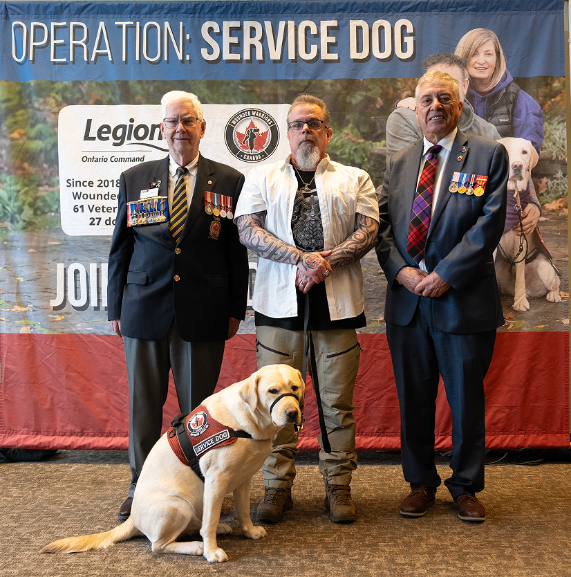 Supporting Veterans
