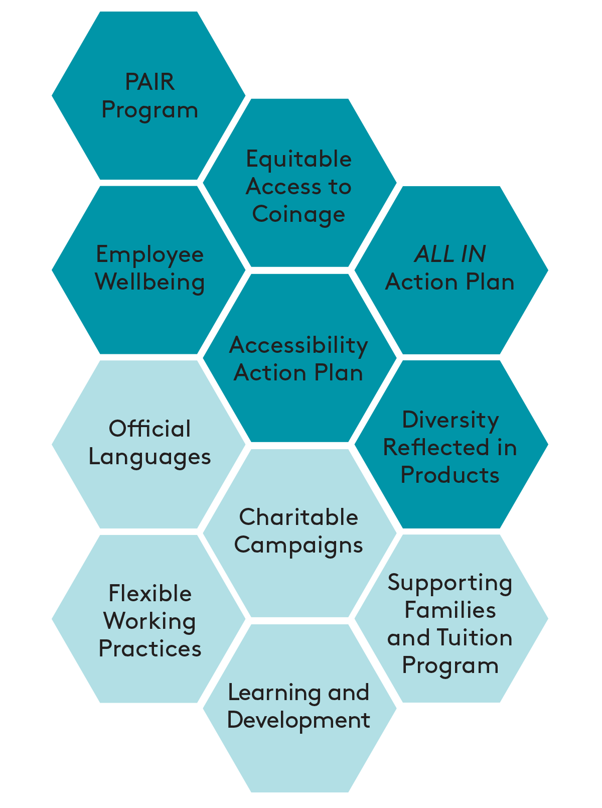 Social Areas of Focus