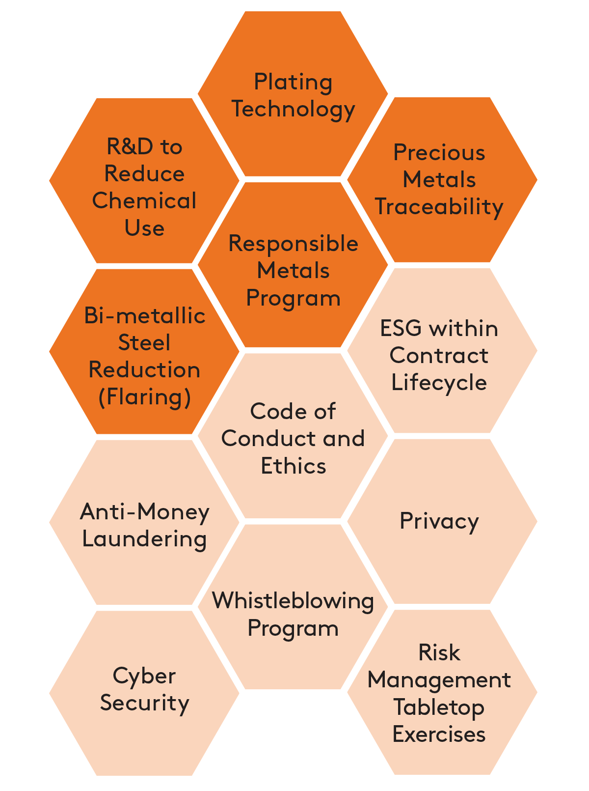 Governance Areas of Focus