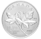 Canadian Maple Leaves 1/2 oz. Pure Silver Coin (2017)