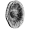 Pure Silver Coin - Remembrance Day - Mintage: 7,000 (2020)