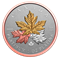 1 oz 99.95% Pure Platinum Coin - A Tribute to the Maple Tree