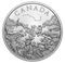 1 oz. Pure Silver Coin – Commemorating Black History: The Underground Railroad