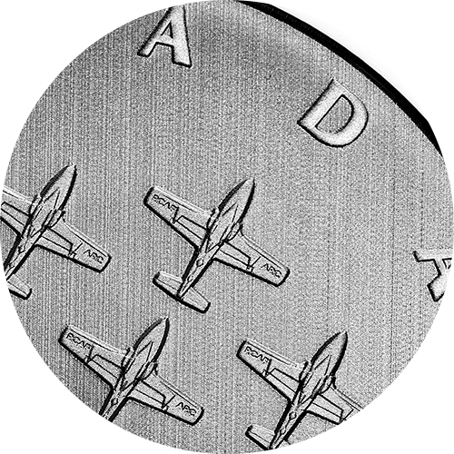 blurb_200392_feature-ct-114-tutor.png?hash=637881207730000000 The Canadian designed and built CT-114 tutor