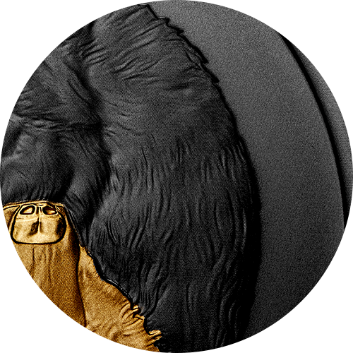 blurb_200908_feature-black-rhodium.png?hash=637883877540000000 Our latest black rhodium coin
