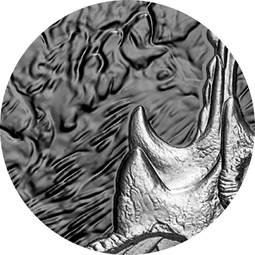 img_blurb_203129_features-rhodium-plating.png?hash=637861288210000000 Rhodium plating