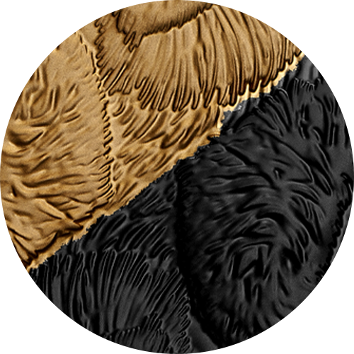 203513_feature_black-and-gold-rhodium.png?hash=637898564180000000 Black and gold rhodium