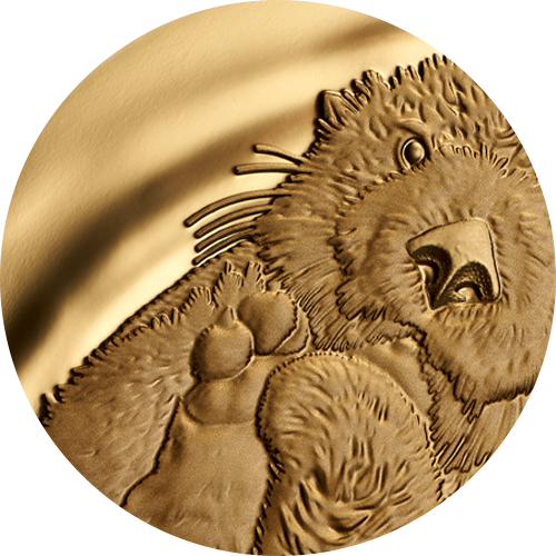 203513_feature_matte-proof-finish.png?hash=637898564140000000 Matte proof finish