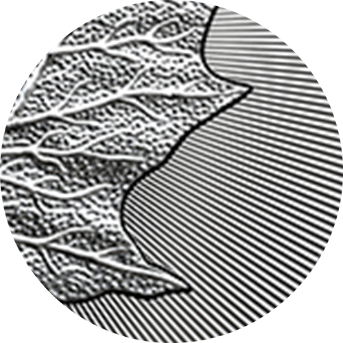 204376_features_cutting-edge-security-features.png?hash=637866720370000000 Includes cutting-edge security features