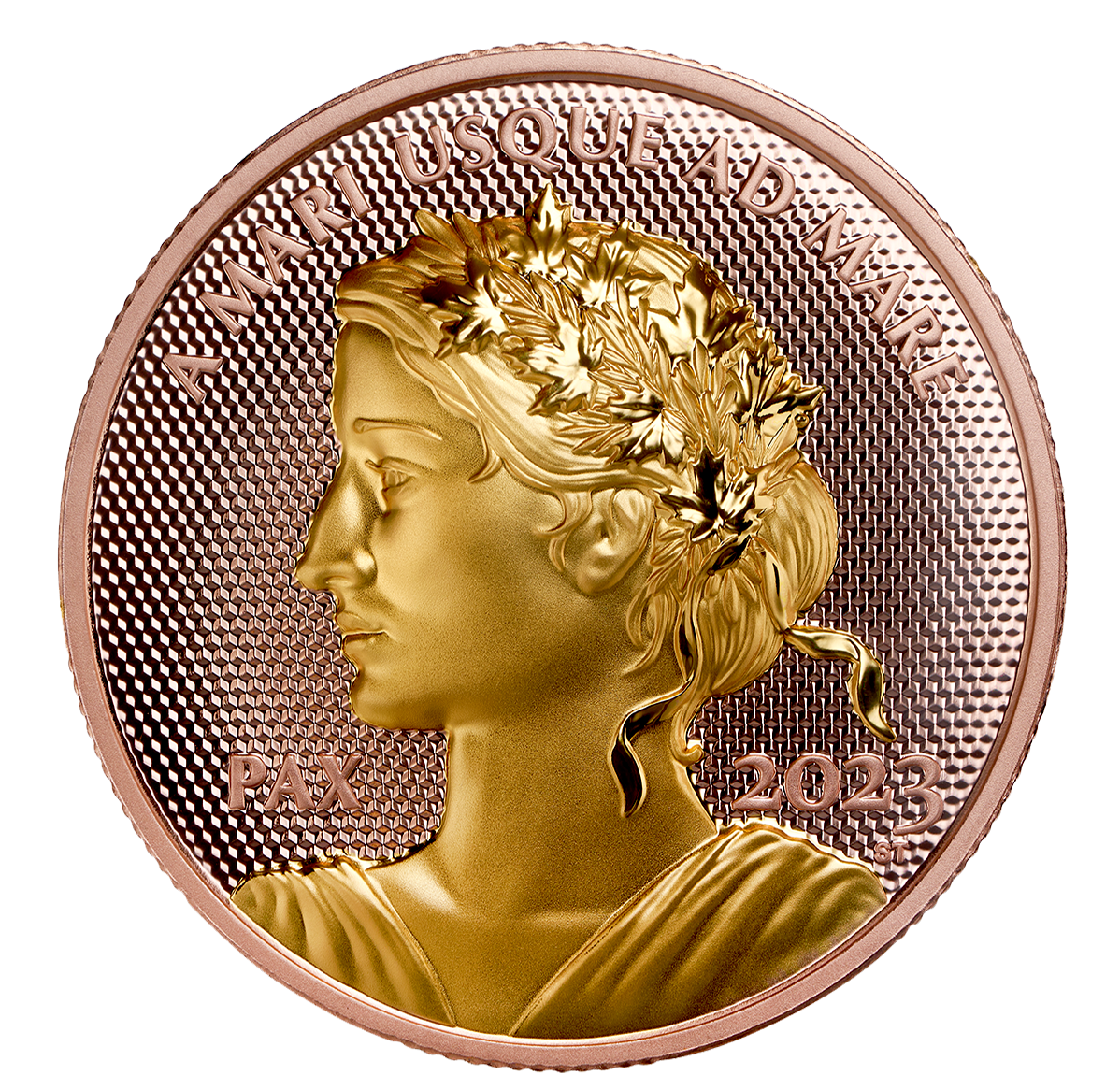 205148_rev_1198.png?hash=638022932660000000 Rose gold