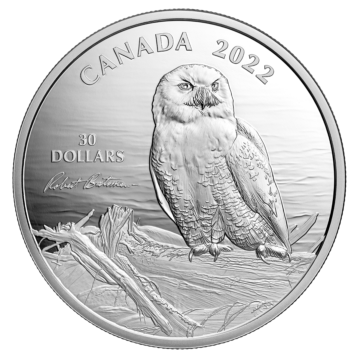 Canada’s most famous owl