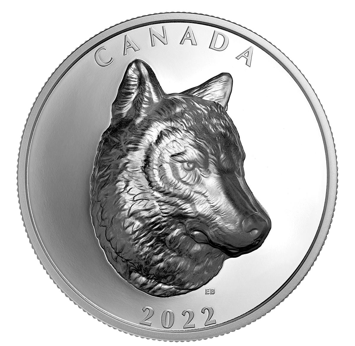 204414_rev_1198.png?hash=637974148220000000 A proud portrait