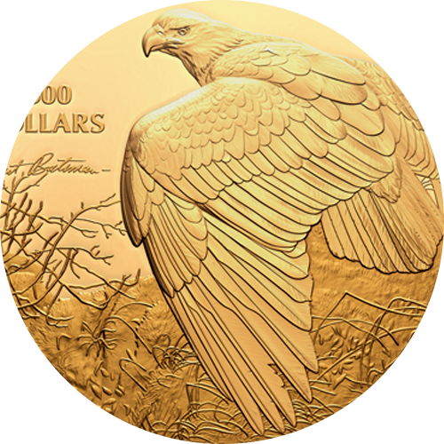205987_feature_an-inspiring-eagle-portrait.png?hash=638035014090000000 An inspiring eagle portrait