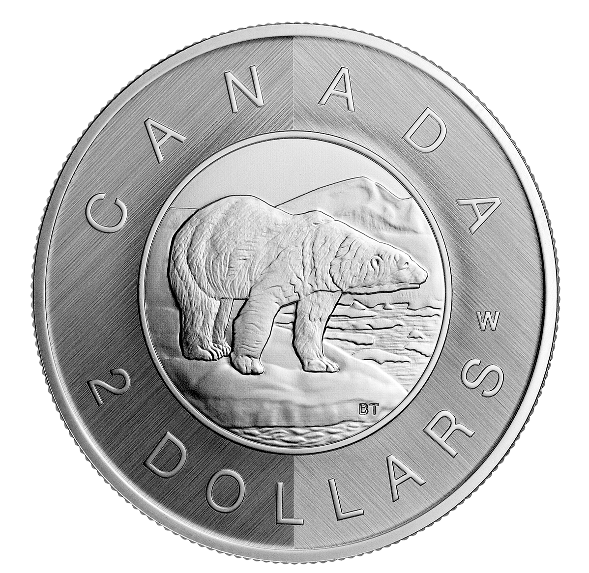 243952_rev_1198.png?hash=638144842460000000 Polar Bear