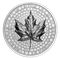 Ultra High Relief - 5 oz. SML Pure Silver Coin (2023)