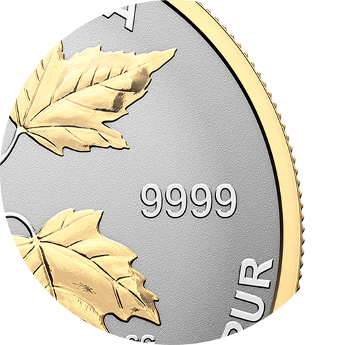 b1_ft_goldplating.png?hash=638257923830000000 Selective gold plating