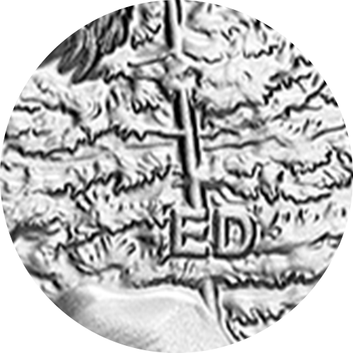 b3_ft_artist.png?hash=638270985670000000 An Emily Damstra original