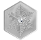 Snowflake - 1 oz. Fine Silver Coin (2023)