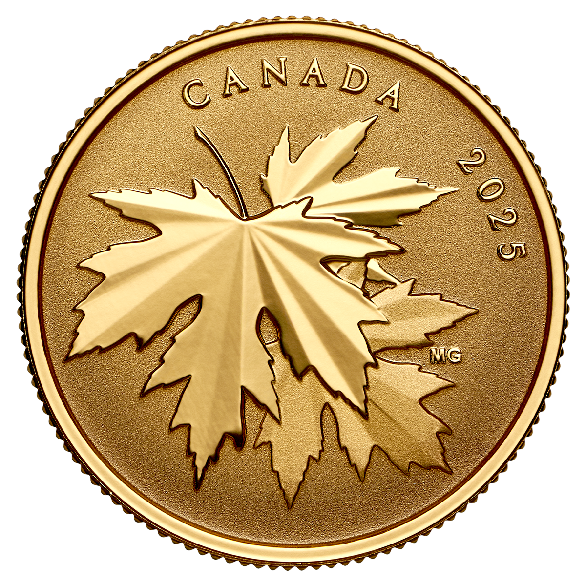 Étincelantes feuilles d’érable – Pièce de ¼ oz en or pur