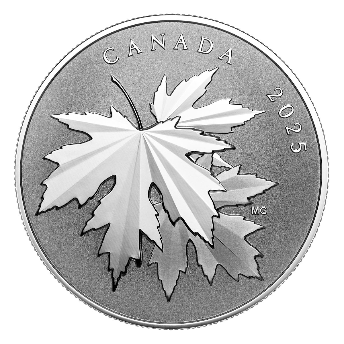 Étincelantes feuilles d’érable – Pièce de ½ oz en argent fin