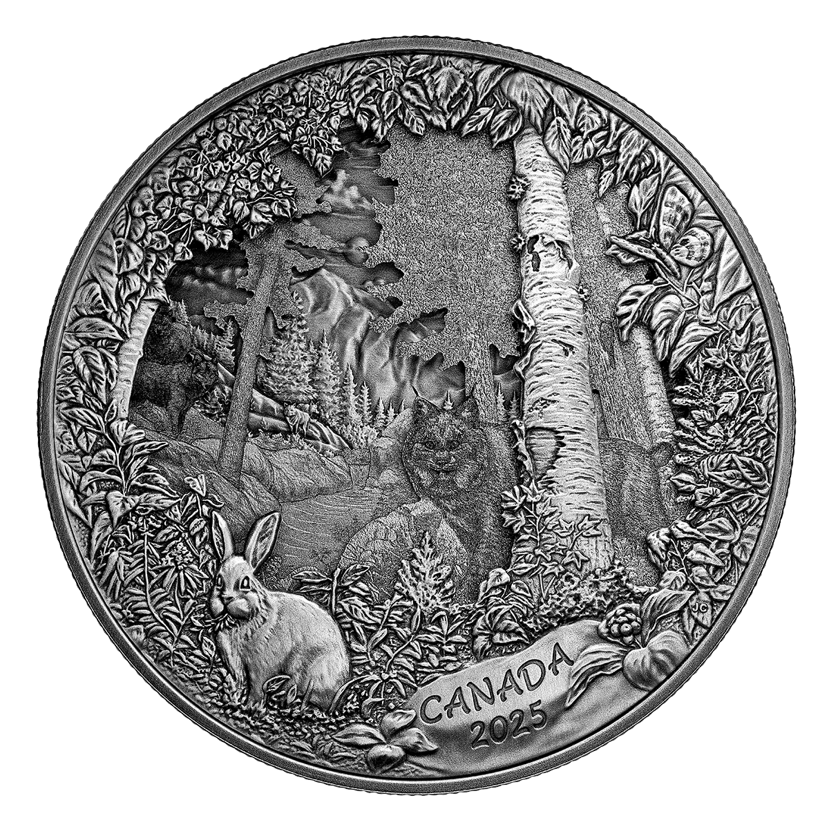 Predator or Prey in Shadow Box – Fine Silver Coin