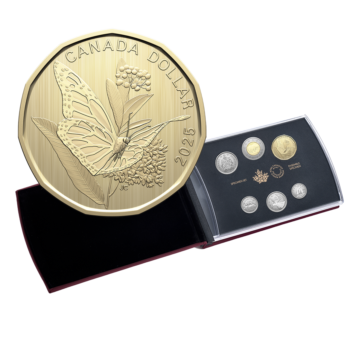 Specimen Set – Monarch Butterfly (2025)