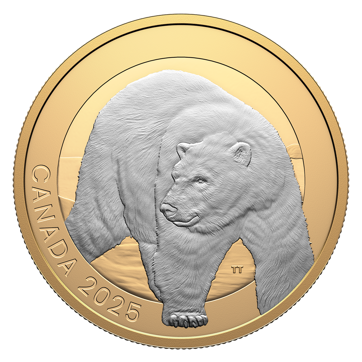 Animal Portraits: Polar Bear – 1 oz. Fine Silver Coin