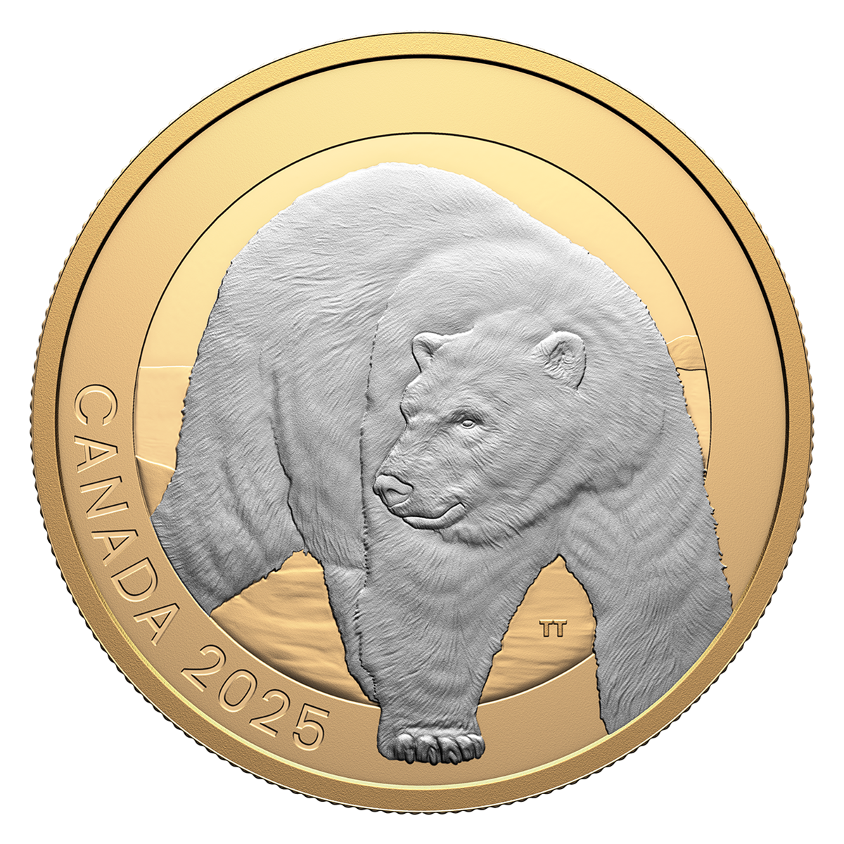 Animal Portraits: Polar Bear – 1 oz. Fine Silver Coin