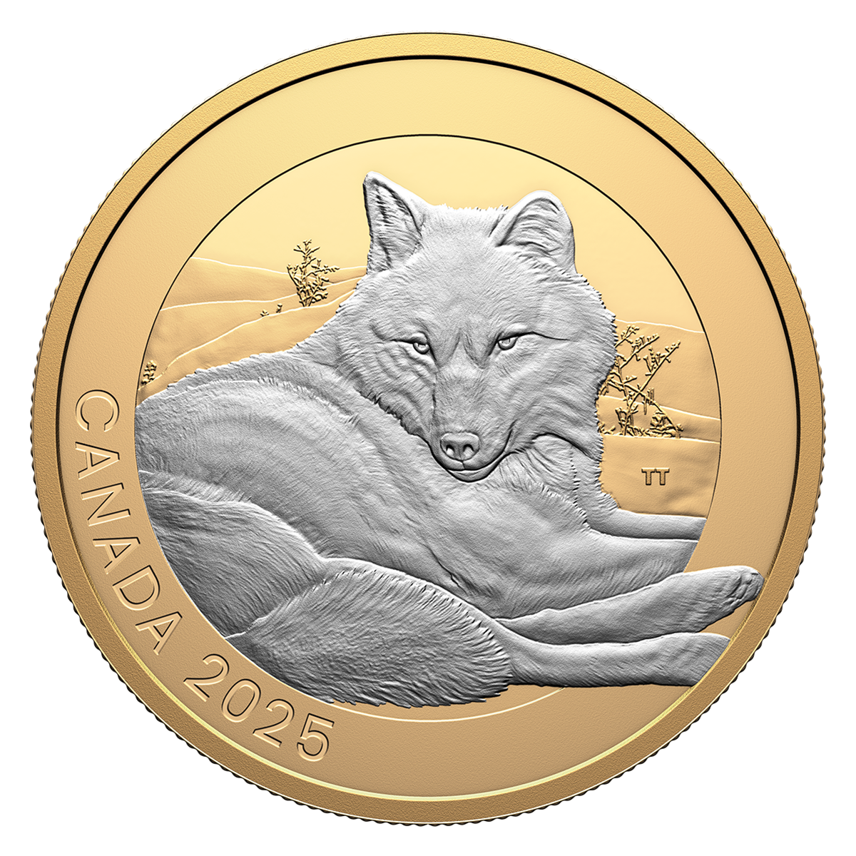 Animal Portraits: Grey Wolf – 1 oz. Fine Silver Coin