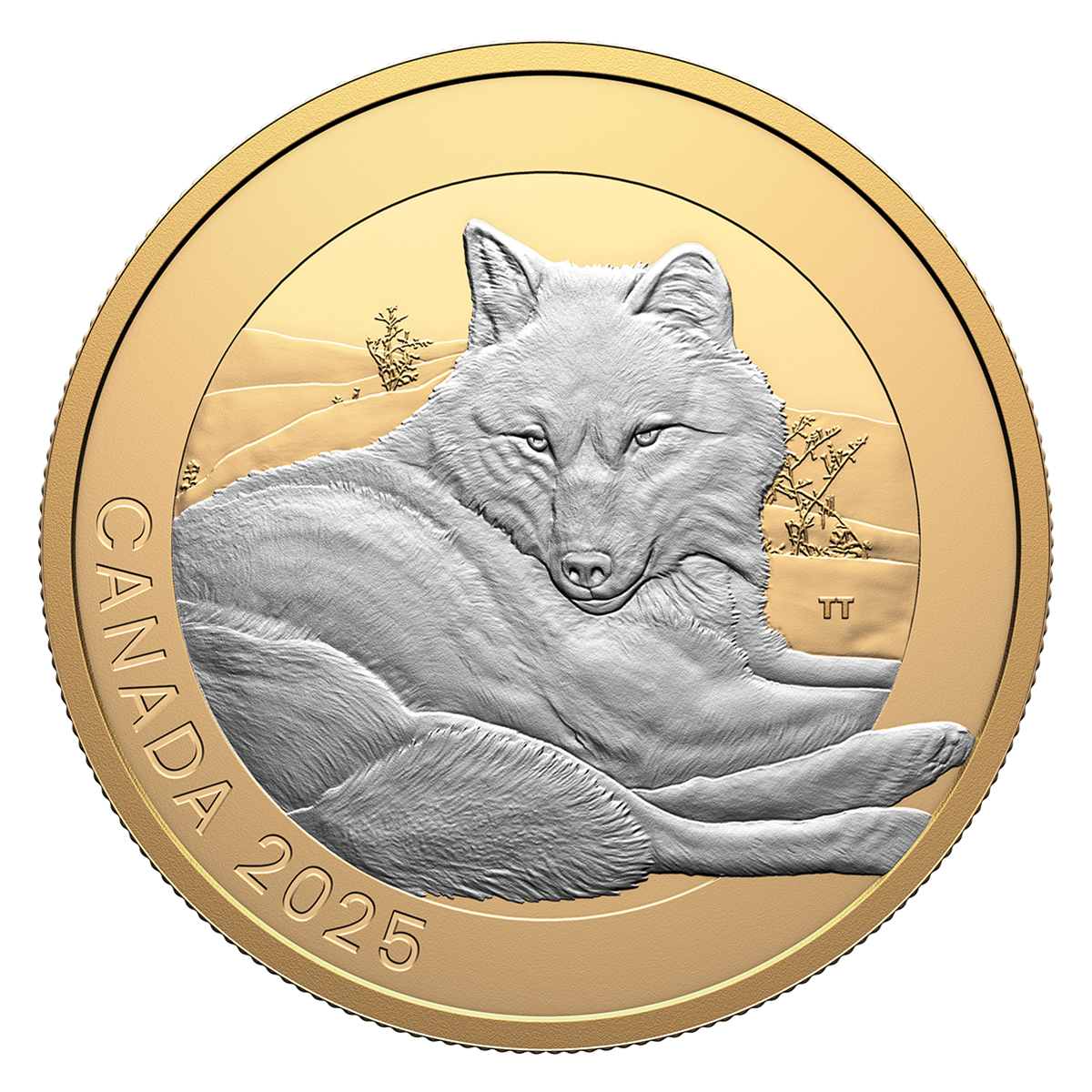 Animal Portraits: Grey Wolf – 1 oz. Fine Silver Coin