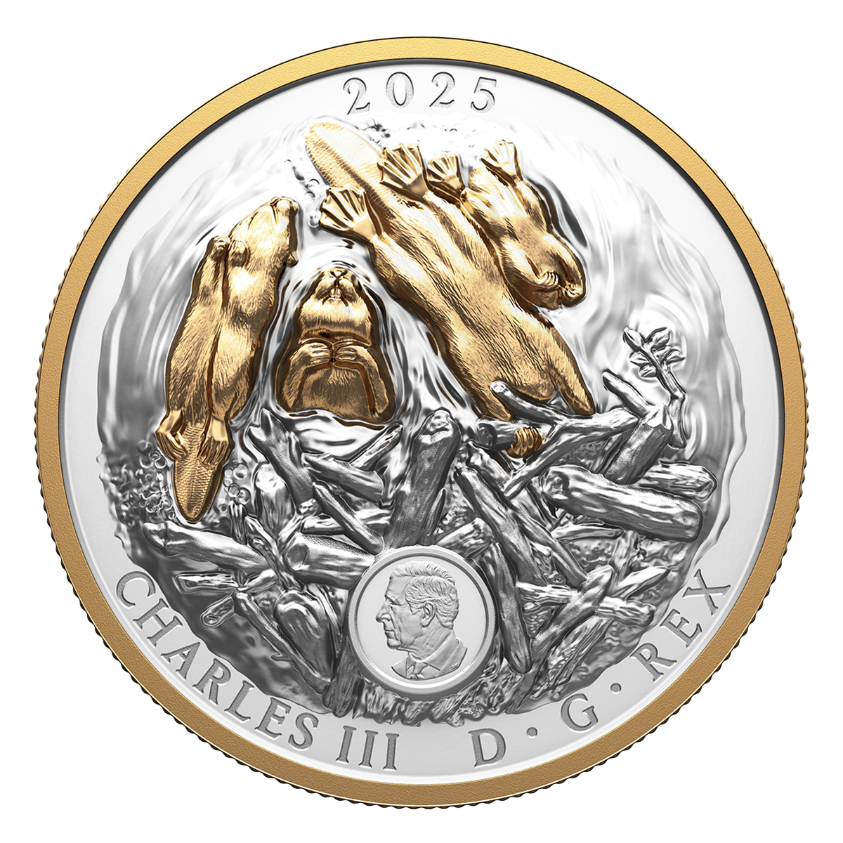 Symbole canadien : Le castor – Pièce en argent fin