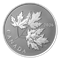 Reverse of Silver Coin