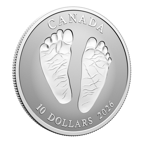 Angled reverse of Silver Coin