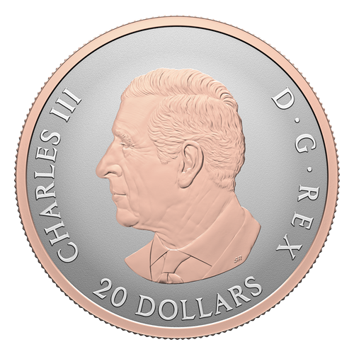 Obverse of Silver Coin