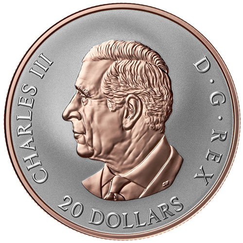 Obverse of Silver Coin
