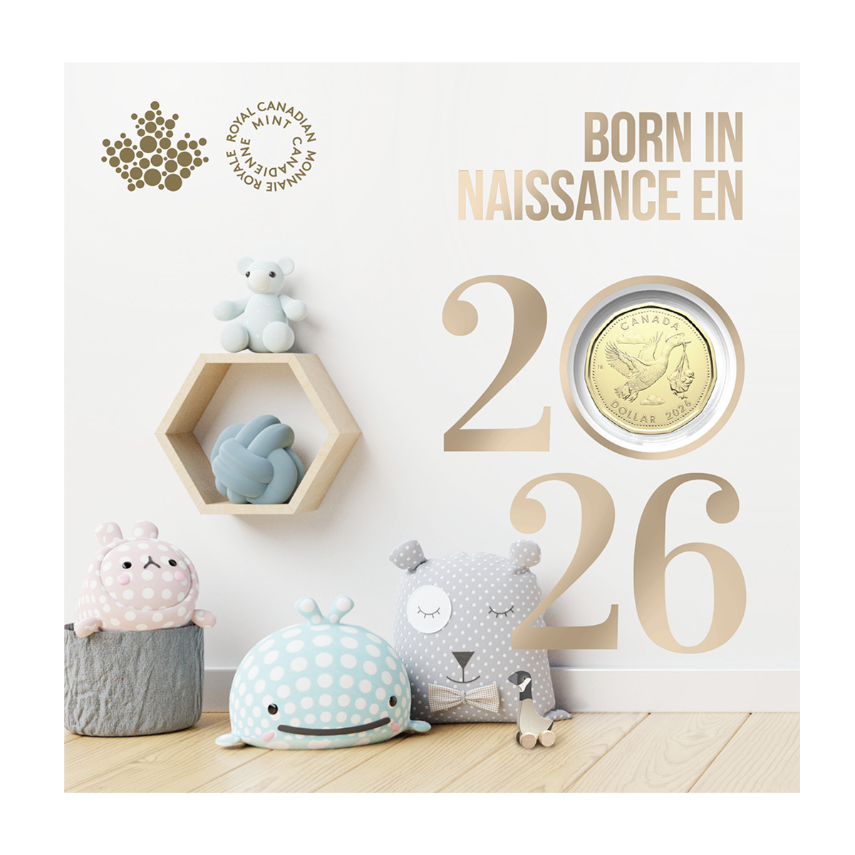 Baby Gift Card Set (2026)
